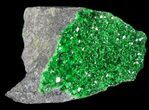 Druzy Green Uvarovite (Garnet Group) - Russia #39073-2